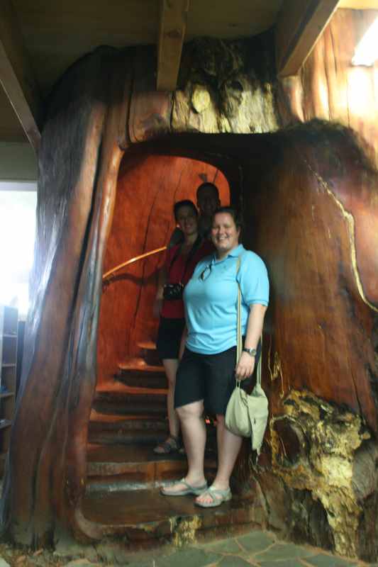 Nieuw-Zeeland 2011 - 0308